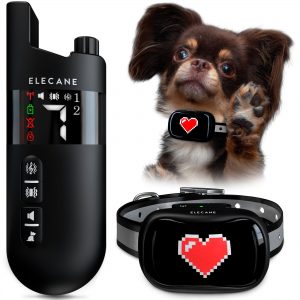 Mini Training Collar for Dogs 5-15lbs