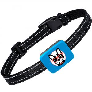 Bark collar for dog 4+ lbs – blue