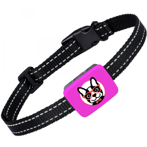 Bark collar for dog 4+ lbs – pink