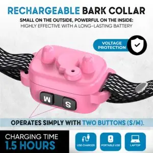 Small dog wearing pink anti-bark collar with LED screen
