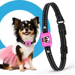 anti bark collar for 5–15 lb dogs! Safe, no-shock, waterproof, and smart — Elecane delivers calm training for small breeds.