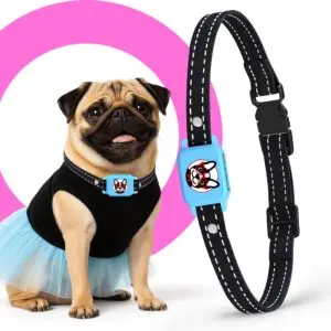 Anti bark collar for 5–15 lb dogs – lightweight no-shock collar for small breeds by Elecane