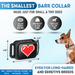 no shock bark collar for small dogs black with red heart