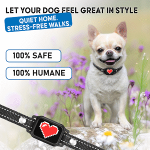 no shock bark collar for small dogs black with red heart