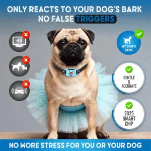 Fast-charging anti bark collar with 20-day battery life – Elecane smart collar for small dogs