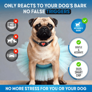 no shock bark collar for small dogs black with red heart