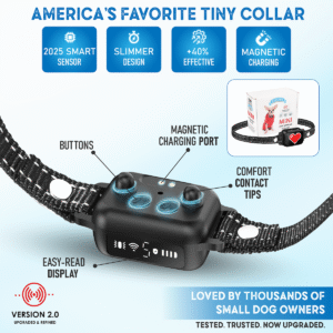 no shock bark collar for small dogs black with red heart