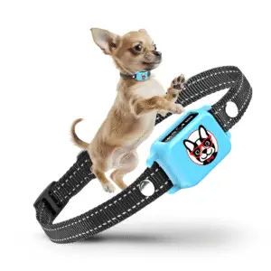 Training modes of Elecane anti bark collar for small dogs – beep, vibration, beep+vibration