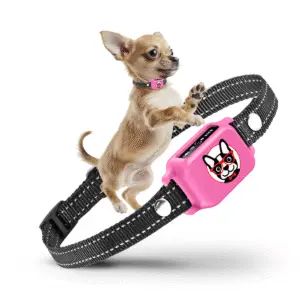 Training modes of Elecane anti bark collar for small dogs – beep, vibration, beep+vibration