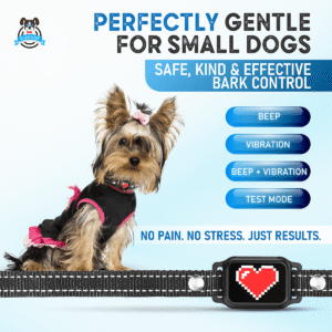 no shock bark collar for small dogs black with red heart