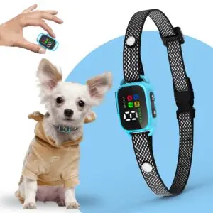 Small dog wearing pink anti-bark collar with LED screen
