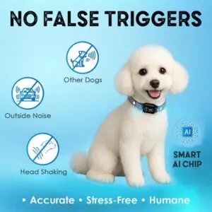 Humane anti-bark collar for small dogs with smart AI chip and no false triggers