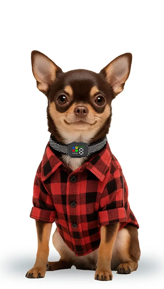 Bark Collar for 5–15 lb Dogs: Fit, Weight, and Comfort