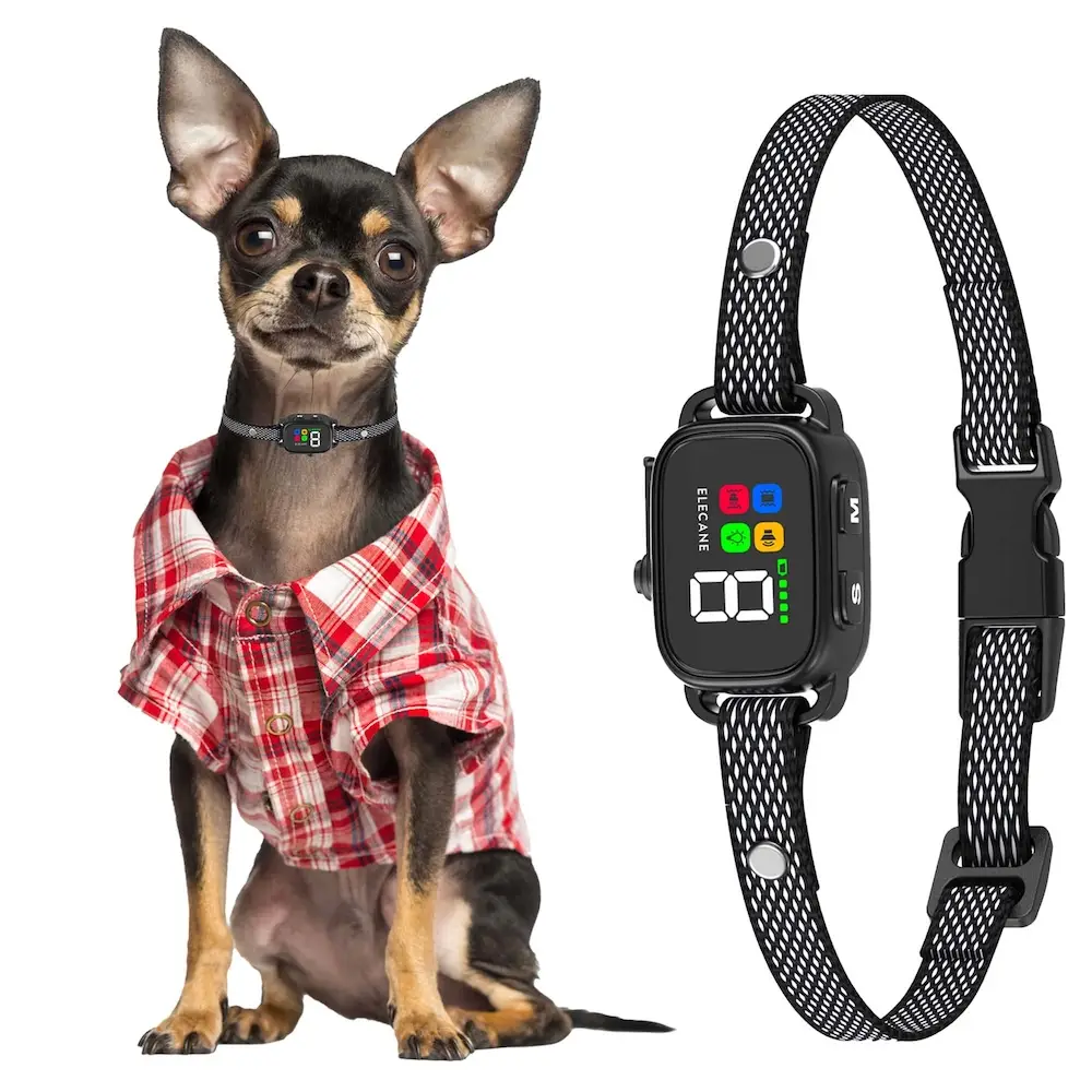 Smart bark collar for small dogs