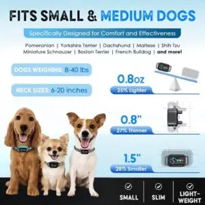 Smart black bark collar for small dogs, lightweight and comfortable fit