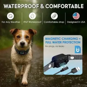 Waterproof black bark collar with magnetic charging – safe for any weather