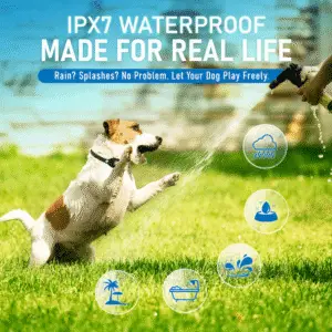 Waterproof OB11 pink bark collar – IPX7 safe for rain and splashes