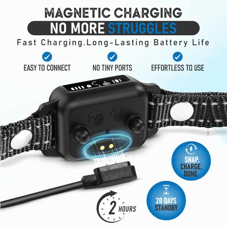 OB11 black bark collar with magnetic charger