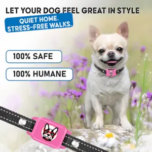 Safe, humane pink bark collar for small dogs — calm walks & quiet home