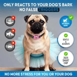 No-shock pink bark collar that reacts only to your dog’s bark — no false triggers