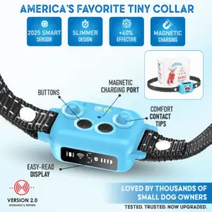 Comfortable bark collar for tiny dogs – safe and effective OB11 blue