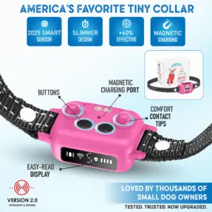 Close-up of Elecane OB11 pink bark collar with magnetic charging and comfort tips