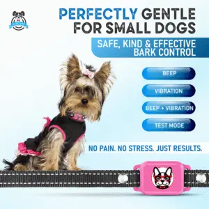 Smart bark collar for small dogs, pink model — gentle training with beep, vibration and test mode