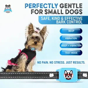 Smart bark collar for small dogs OB11 blue – gentle and humane training collar