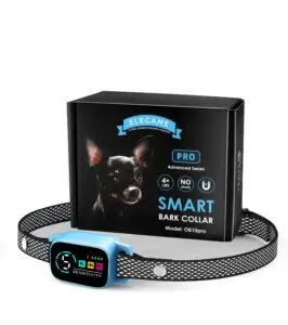 Smart bark collar for small dogs, pink model