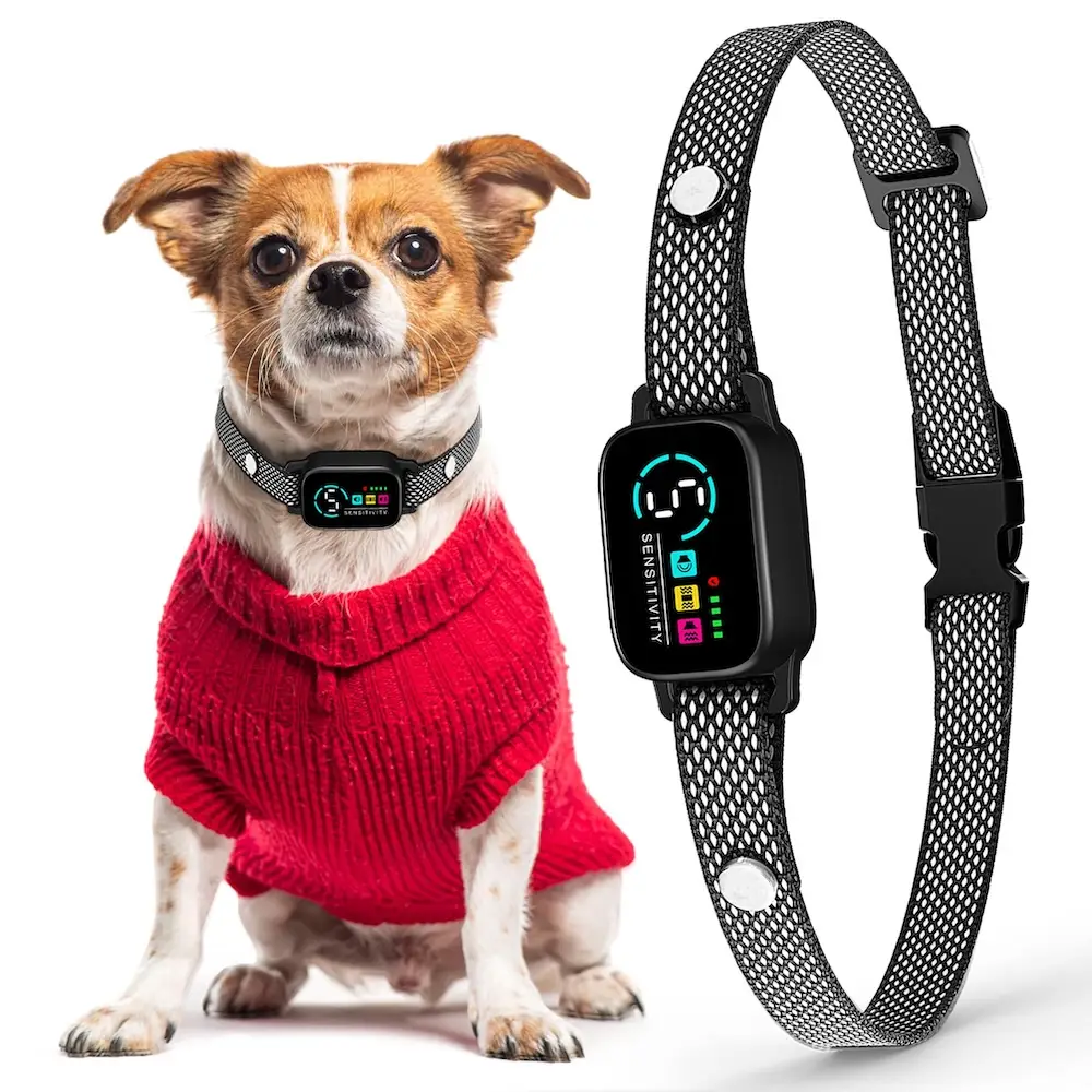 Smart bark collar for small dog