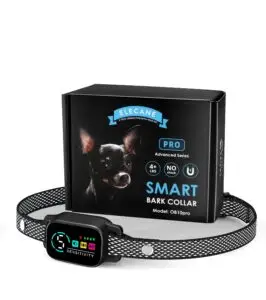Smart black anti-bark collar for small dogs, humane training
