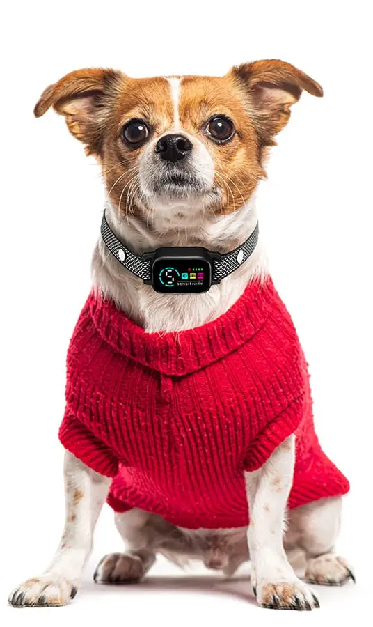 Smart bark collar for small dogs, pink model