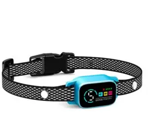 Smart bark collar for small dogs, blue model