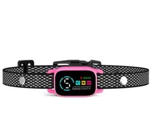 Smart pink anti-bark collar for small dogs, humane training