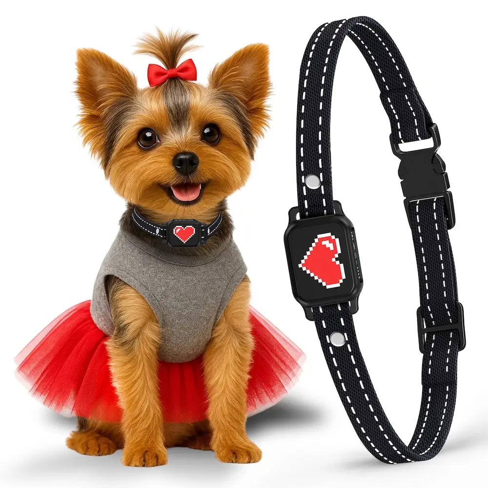 Smart bark collar for small dogs