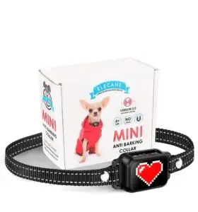 OB11 black bark collar gift box – ready to use or gift