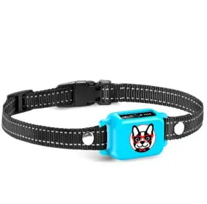 OB11 blue bark collar close-up showing LED indicators