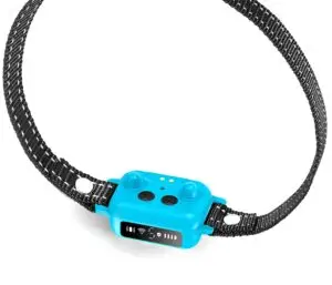 Small dog bark collar OB11 blue – adjustable nylon strap