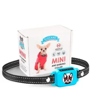 OB11 blue bark collar gift box – ready to use or gift