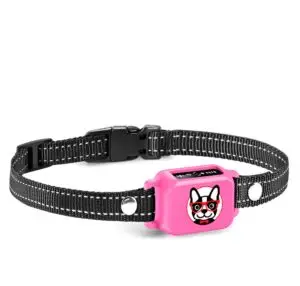 Elecane OB11 pink bark collar on adjustable reflective strap