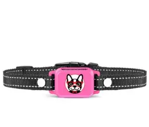 Front view of Elecane OB11 pink bark collar for small dogs