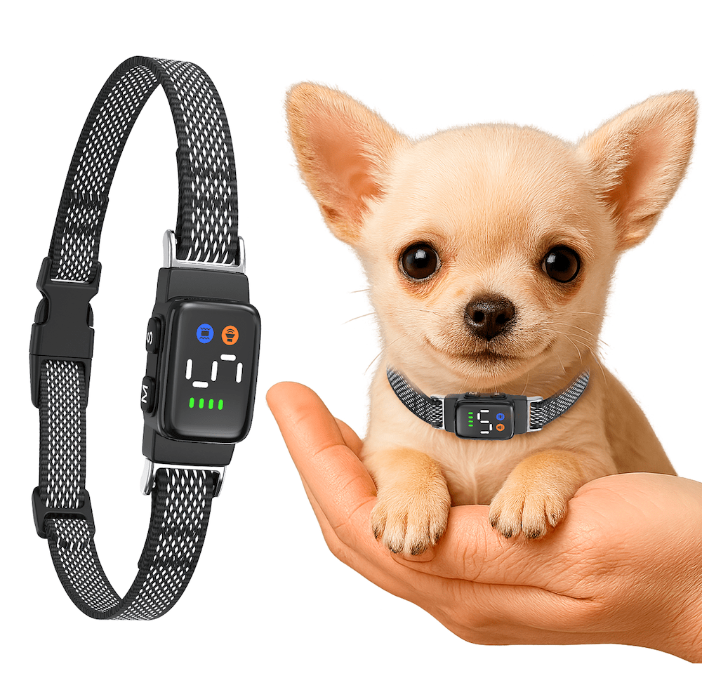 Smart bark collar for small dogs