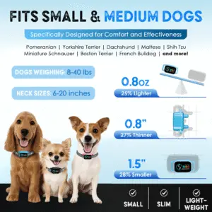 Smart blue bark collar for small dogs, lightweight and comfortable fit
