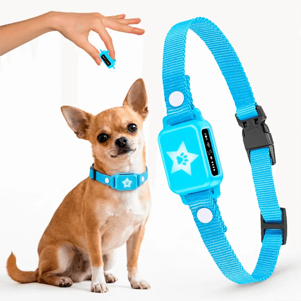 OB11 sky blue Elecane bark collar
